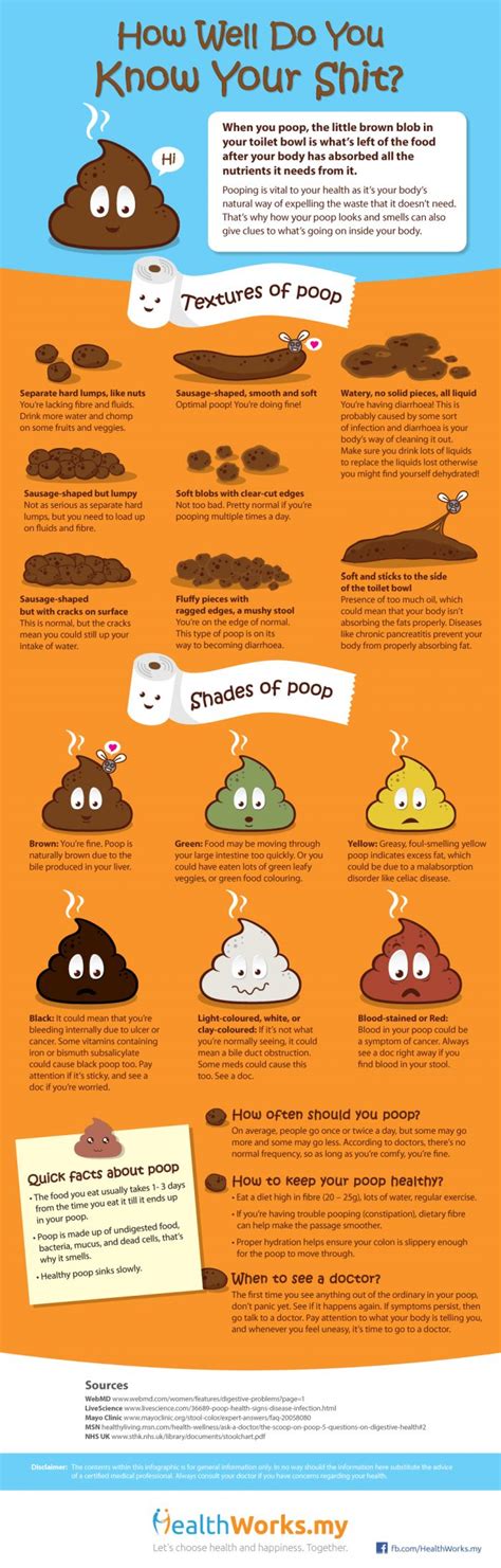 The Science Behind Your Poop And What It Says About Your Body