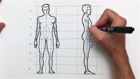 Aprender A Dibujar El Cuerpo Humano Para Niños Hábitos De Niños