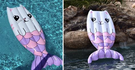 amazon is selling a mermaid cat pool float and it is purrfect in 2021 mermaid cat purrfect