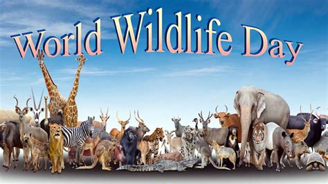 World Wildlife Day Being Observed Today