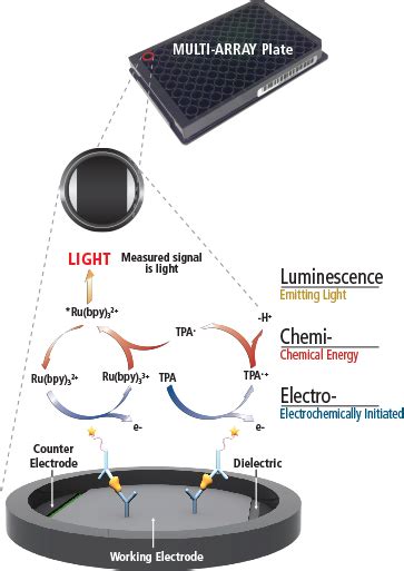Why Electrochemiluminescence Meso Scale Discovery