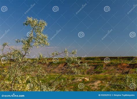 Ukrainian Steppe In The Spring Stock Photo Image Of Grass Ravine