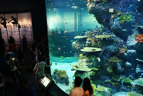 Filestrait Of Malacca And Andaman Sea Sea Aquarium