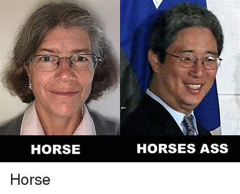 Horse Horses Ass Horses Meme On Meme