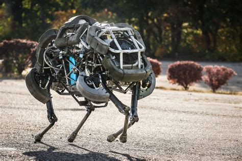 The Most Amazing Robots You Need To Know About