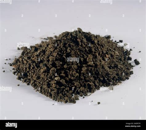 Sandy Soil Soils With A High Proportion Of Sand Are Typically Light