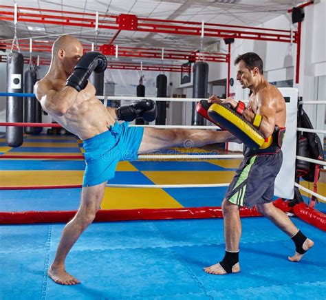 Kickbox Fighters Training In The Ring Stock Image Image Of Power