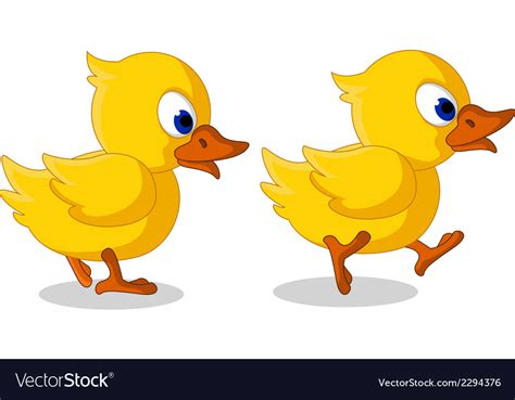 Five little ducks by farmees is a nursery rhymes channel for kindergarten children.these kids songs are great for learning alphabets, numbers, shapes, colors. Cute two baby duck cartoon walking Royalty Free Vector Image