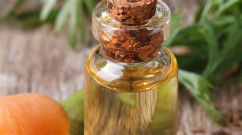 How to make carrot oil | 2 ways to make carrot oil for hair, skin and cooking! How to Strengthen Your Hair with Carrot Oil | Natural Oils ...