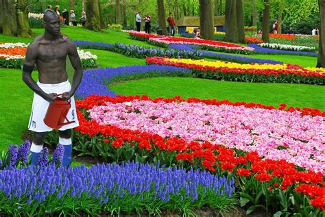 #krasava meme , #mario balotelli. Image - 340653 | Mario Balotelli's Goal Celebration ...