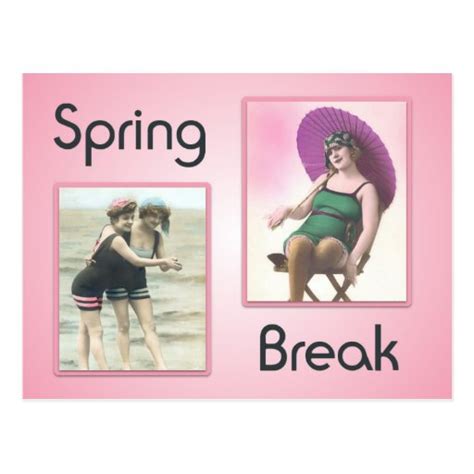 Vintage Spring Break Beach Babes Postcard Zazzle