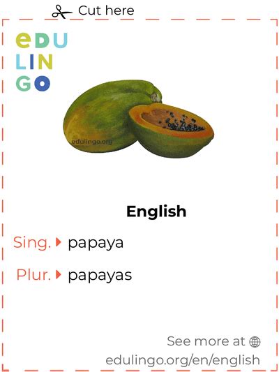Papaya In English • Writing And Pronunciation With Pictures