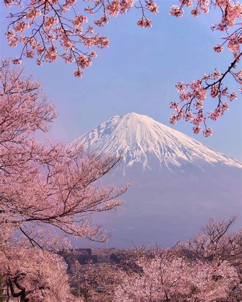 Amazing Nature Photography In Japan By Makiko Samejima Paesaggi