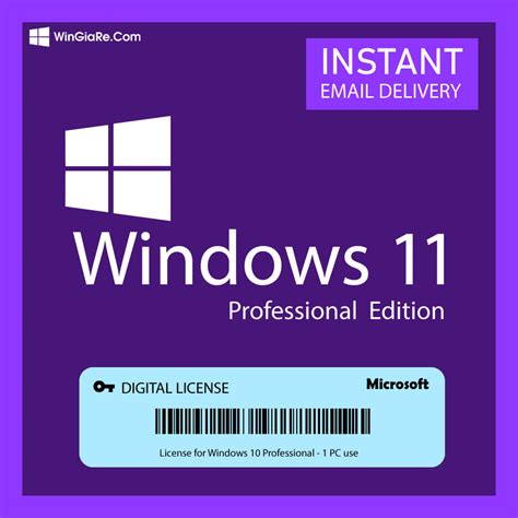 Windows 11 Professional License Key 1pc Xkeysstore