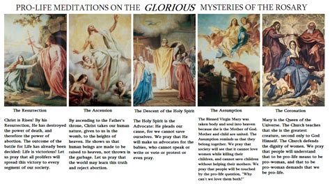 Pro- Life Meditations on the Mysteries of the Rosary | CF Catholic