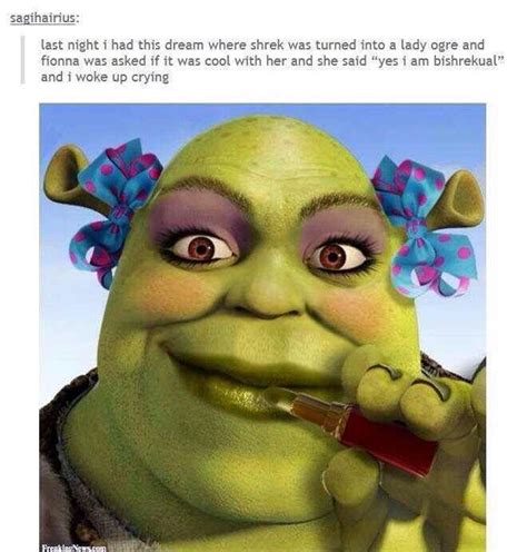 See You In A While Album On Imgur Funny Relatable Memes Shrek
