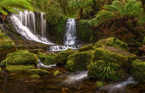 Ferns And Falls By Jamie Richey 500px Waterfall Photo Waterfall