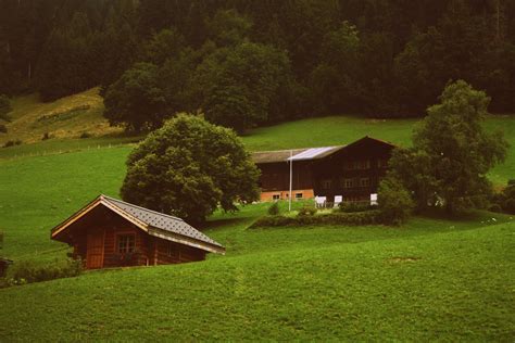 Free Photo Two Brown Wooden Cabins In Green Grass Field Agriculture