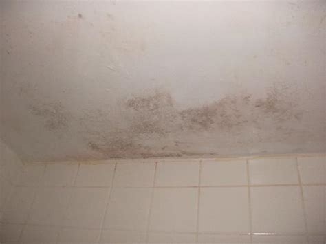 Mold behind the ceiling surface may or may not be a problem once you eliminate the moisture sources and clean up visible mold. Disgusting mold on the ceiling of the shower - Picture of ...