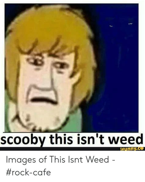 Scooby This Isn T Weed Funnyce Images Of This Isnt Weed Rock Cafe Funny Meme On Me Me