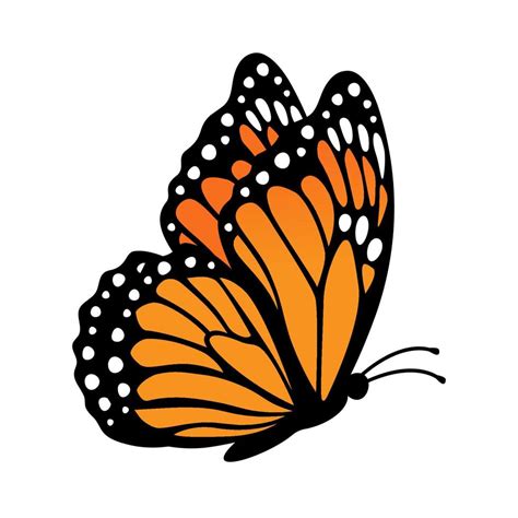 mariposa monarca vista lateral ilustración vectorial aislado sobre