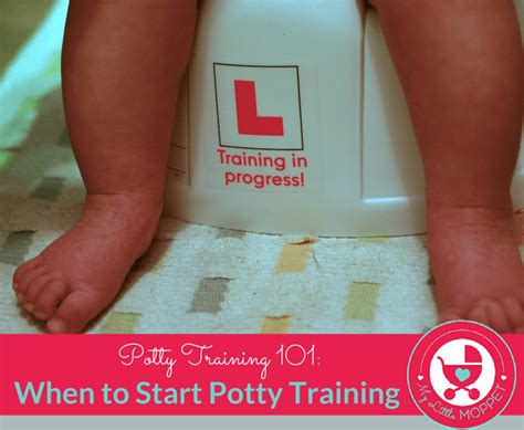 Potty Training 101 When To Start Potty Training My Little Moppet