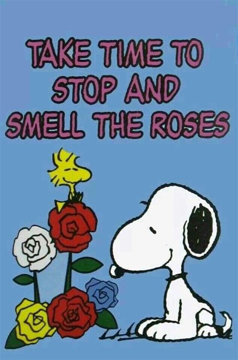 Pin By Suzanne Dunlap On Snoopy Holidays Snoopy Funny Snoopy Quotes