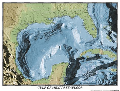 Gulf Of Mexico Seafloor Bathymetric Map