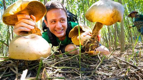 Head Sized Mushrooms Pick Cook 3 Ways Local Food Delicacy
