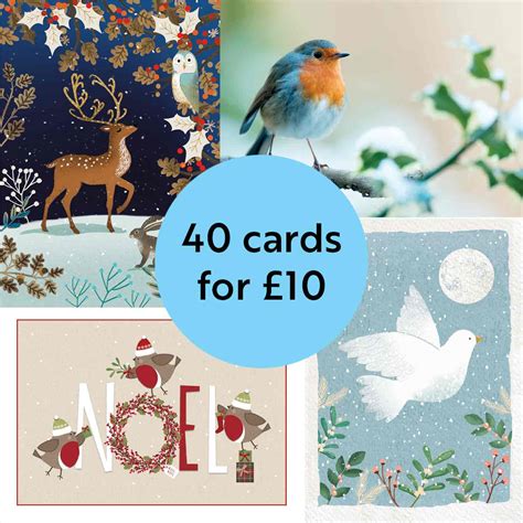 Charity Christmas Cards Fully Recyclable Rspb Shop