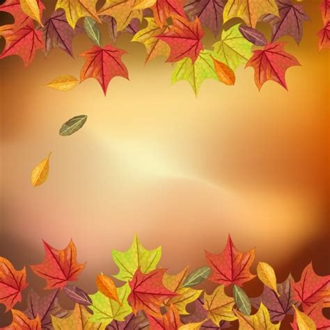 Autumn Background Fall Leaves Season Illustration
