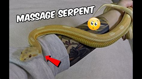 Nouvelle M Thode Se Faire Masser Par Des Serpents Youtube