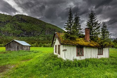 hemsedal norvège norway house house roof moss tree mountain nature | Norway house, House roof, House