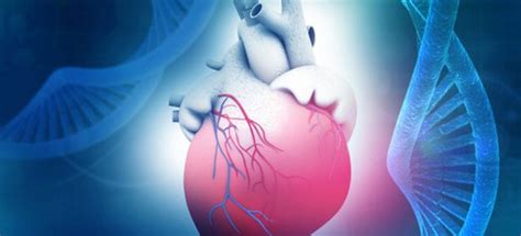 Co To Jest Kardiomiopatia Objawy Przyczyny I Sposoby The Best