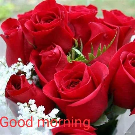 Pin By Lakshmi On Good Morning In 2020 Good Morning Roses Good