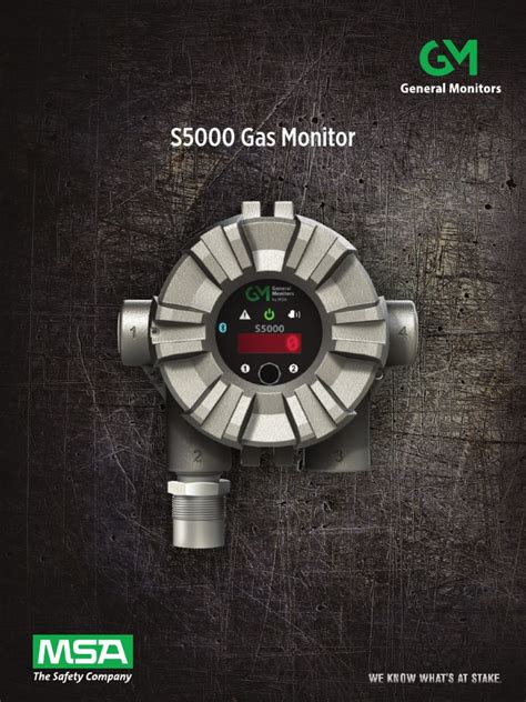 S5000 Gas Monitor Pdf Oxide Sensor
