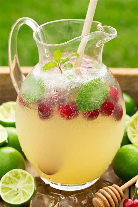 11 Easy Non Alcoholic Party Drinks Recipes For Alcohol Free Summer
