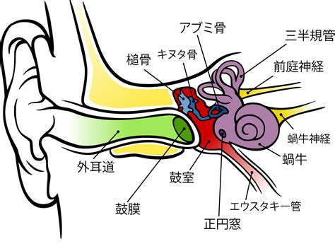 Maybe you would like to learn more about one of these? DTMerのためのフーリエ変換: 1章 フーリエ変換とは何か - シュレーディンガーの猫に小判