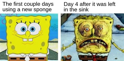 Leerobso Fortnite Memes Spongebob Memes Clean