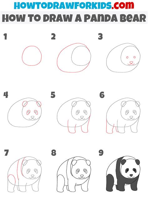 How To Draw A Realistic Panda Step By Step