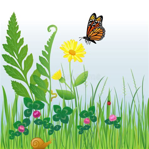 Meadow Flowers And Insectseps Stock Vector Illustration Of Flora