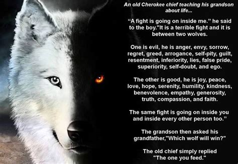 The Tale Of Two Wolves A Beautiful Native American Parable An Old