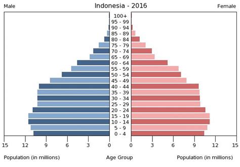 Indonesia Age Structure Demographics