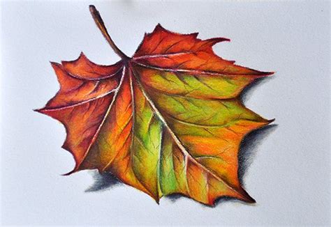 How To Draw Leaves With Colored Pencils Sharyn Dietlin