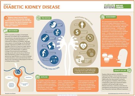 Subtle damage to the kidneys can start within a year or so of type 1 diabetes, and can be present at diagnosis in type 2, but it usually takes 5 to 10 years to become a. Multimedia | Diabetes, Metabolism and The Kidney