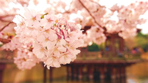 Cherry Blossoms Chibi Fairy Japanese Clothes Kimono Long Hair Ninee
