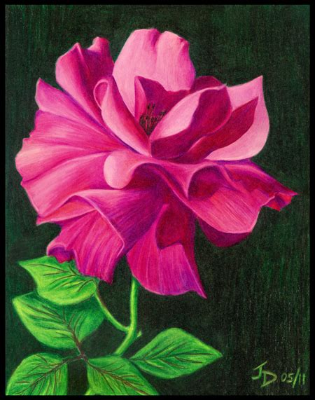 Color pencils have got to be one of my most favorite mediums. Online By Design Art Blog - Janice Dunbar Artist: Color Pencil