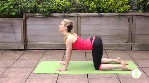 How To Do The Cat Cow Pose And What Are Its Benefits Chakravakasana