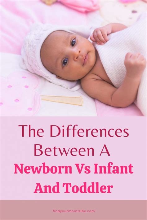 The Differences Between A Newborn Vs Infant And Toddler
