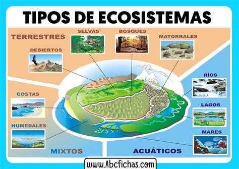 Tipos De Ecosistemas Que Existen Abc Fichas